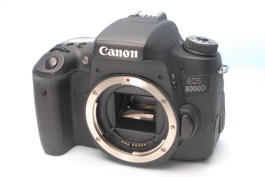 ✨Wi-Fi転送✨キヤノン EOS 8000D ダブルレンズ 超望遠 長く使える