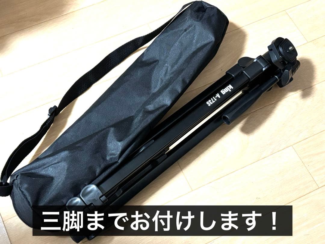 【付属品多数！】SONY AXP35 4K ハンディカム ビデオカメラ