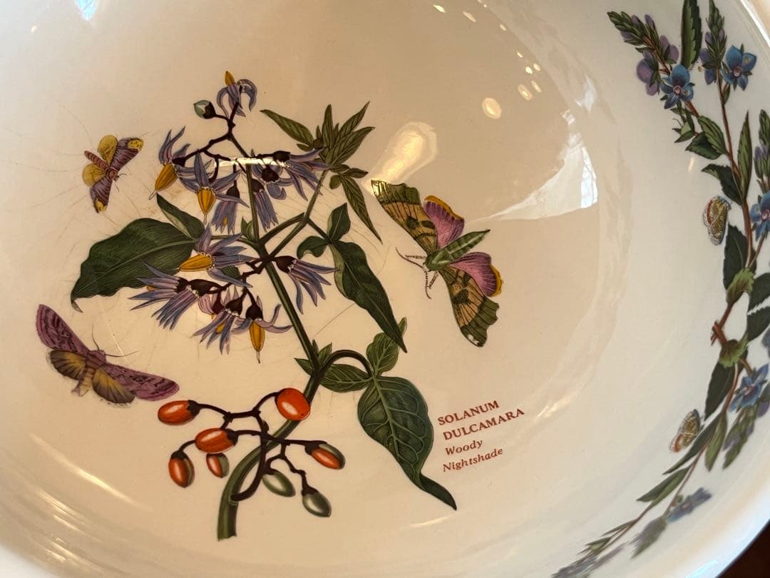 BOTANICGARDEN ボタニックガーデン　ポートメリオン　鉢　ボウル