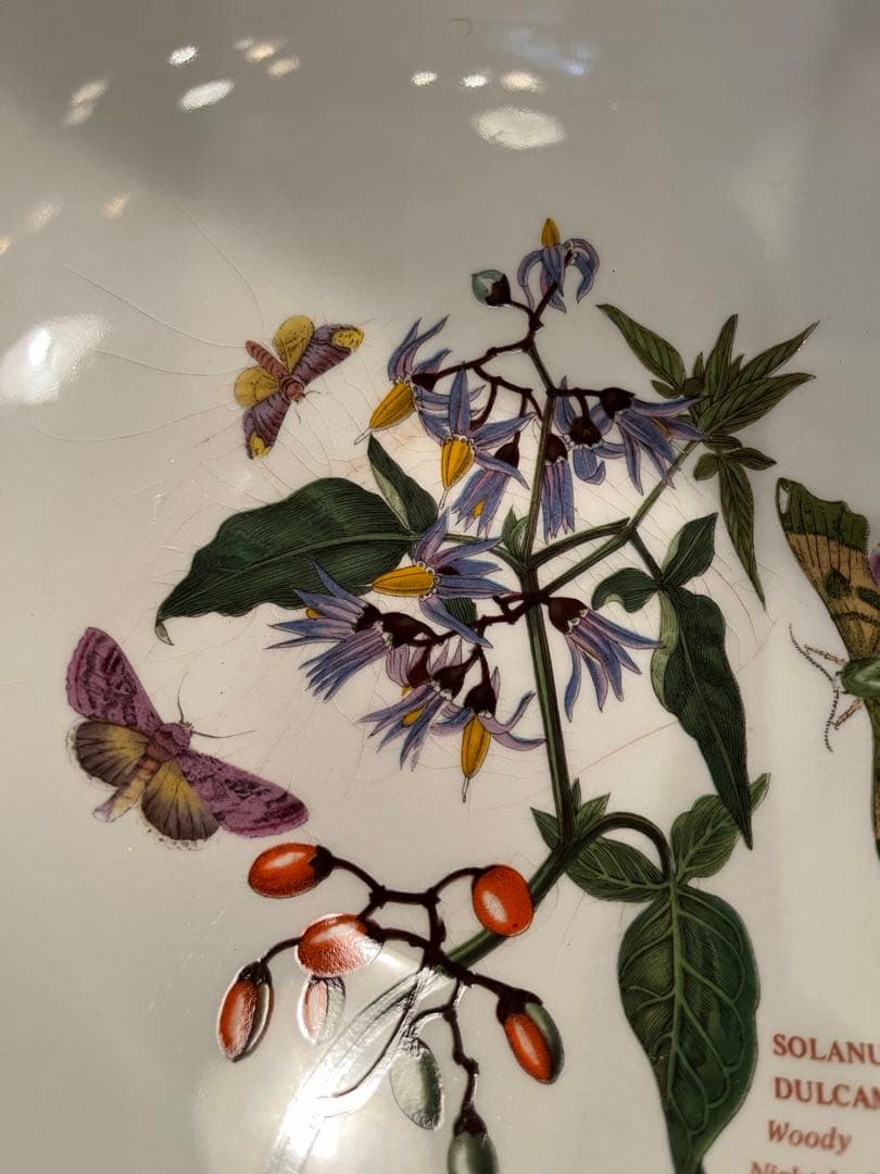 BOTANICGARDEN ボタニックガーデン　ポートメリオン　鉢　ボウル