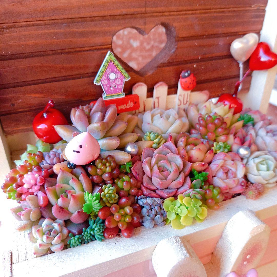 ❤️多肉植物❤️そのまま飾れる寄せ植え❤️のんびりうさぎちゃん~❤️