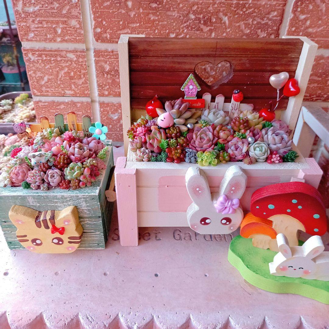 ❤️多肉植物❤️そのまま飾れる寄せ植え❤️のんびりうさぎちゃん~❤️