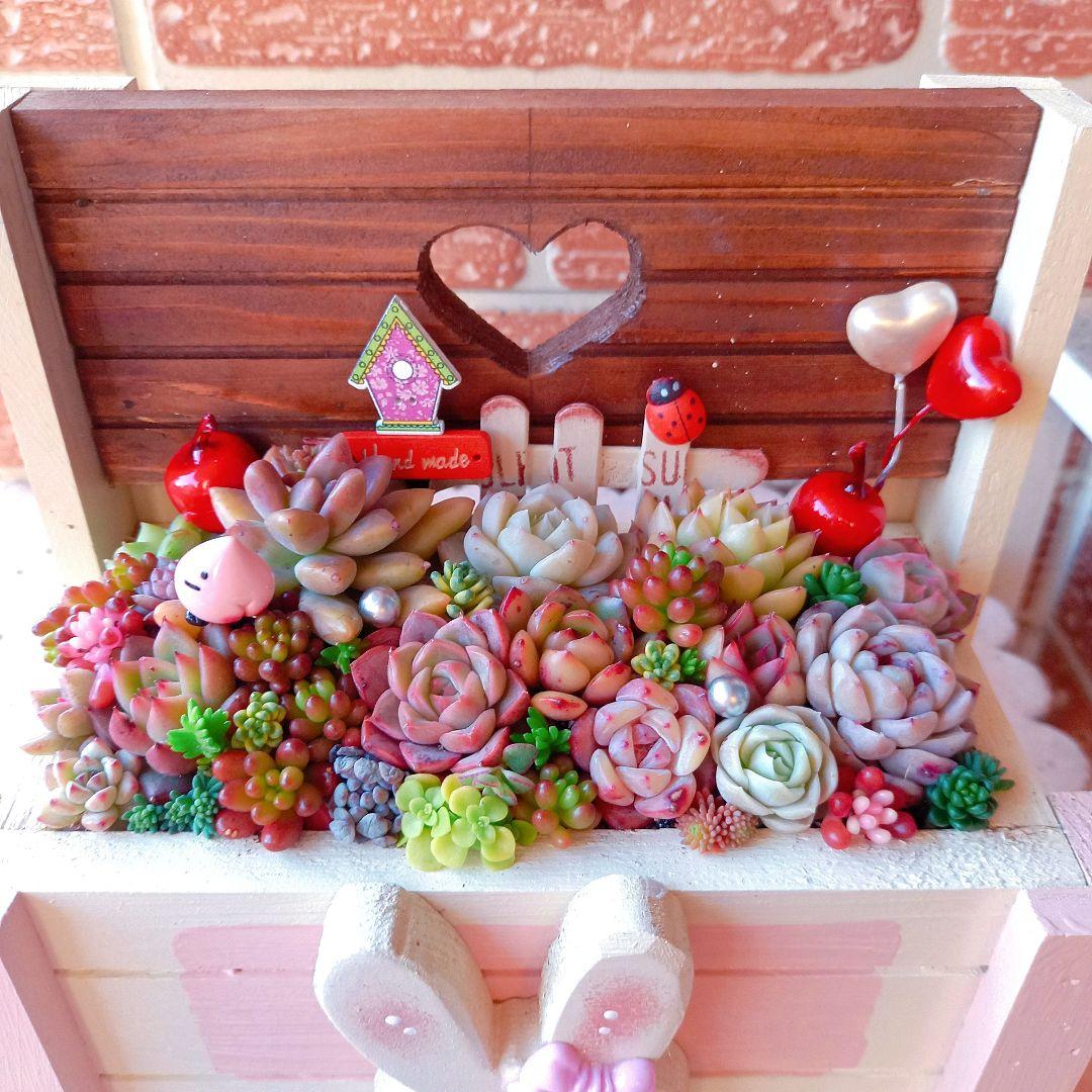 ❤️多肉植物❤️そのまま飾れる寄せ植え❤️のんびりうさぎちゃん~❤️