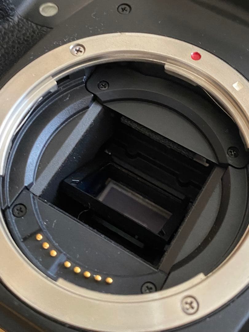 Canon EOS 30D デジタル一眼　EF70-210 動作品　比較的綺麗