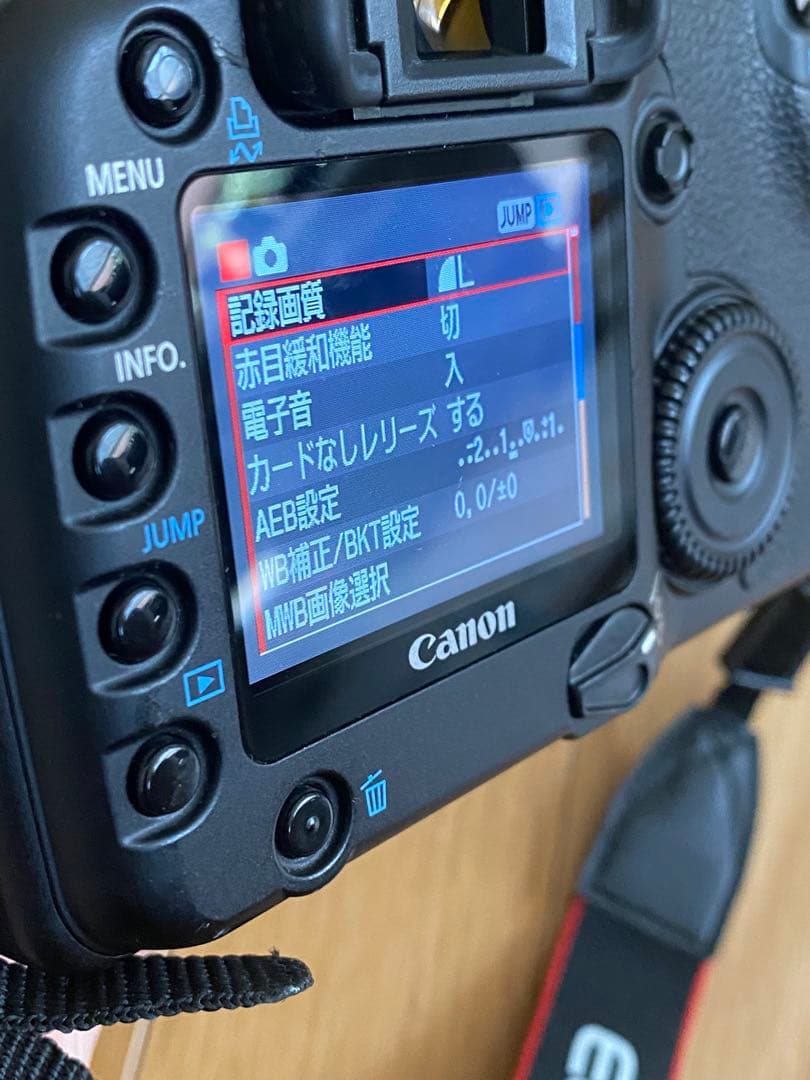 Canon EOS 30D デジタル一眼　EF70-210 動作品　比較的綺麗