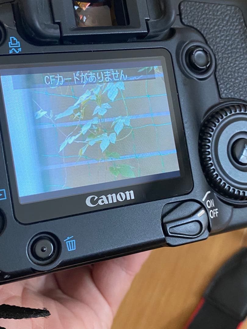 Canon EOS 30D デジタル一眼　EF70-210 動作品　比較的綺麗