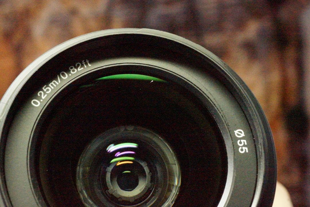 SONY α37 + 24mm/F2.8 New お散歩セット＜Aマウント＞