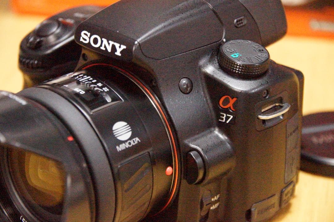 SONY α37 + 24mm/F2.8 New お散歩セット＜Aマウント＞