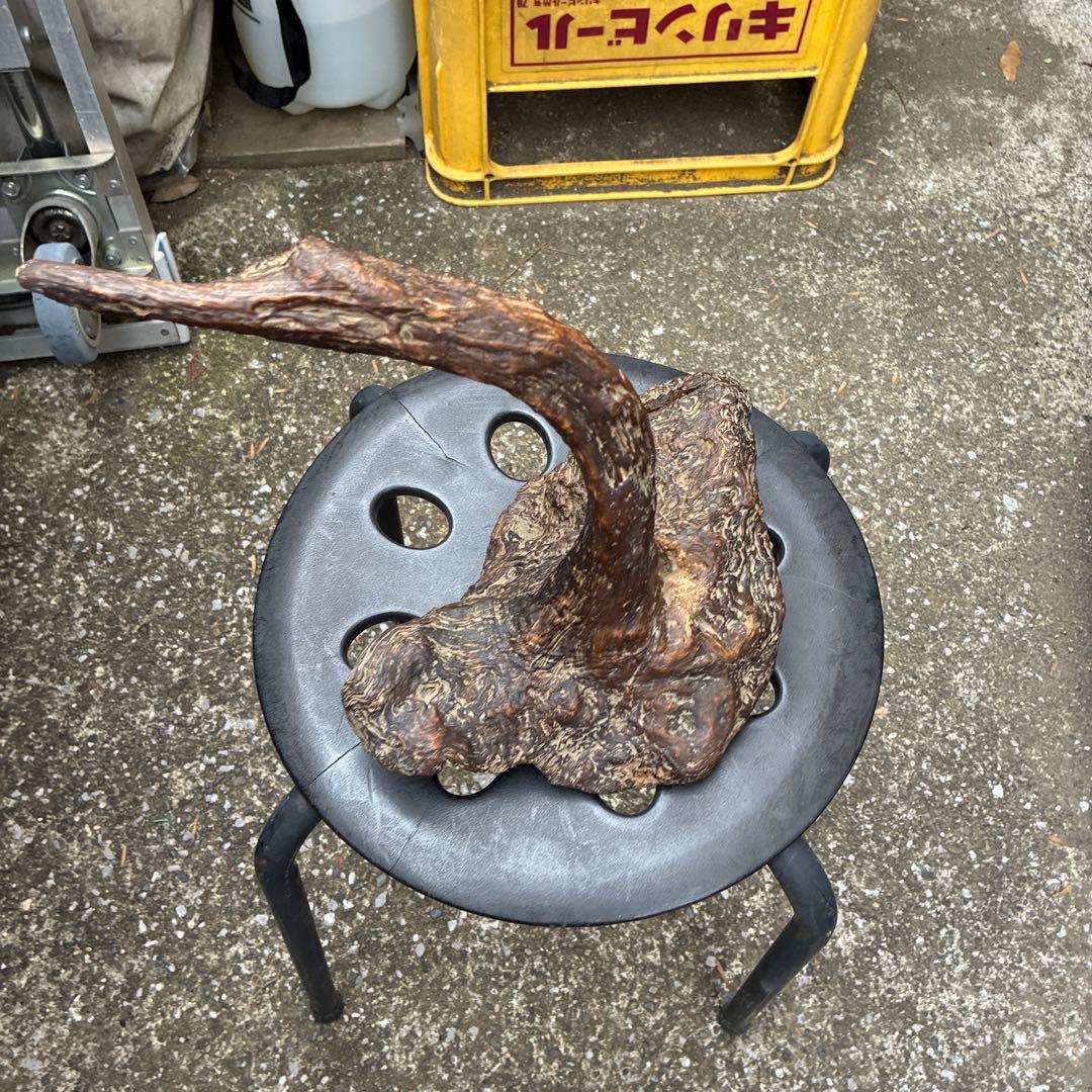 縁起物 ビンテージ木製置物 自然