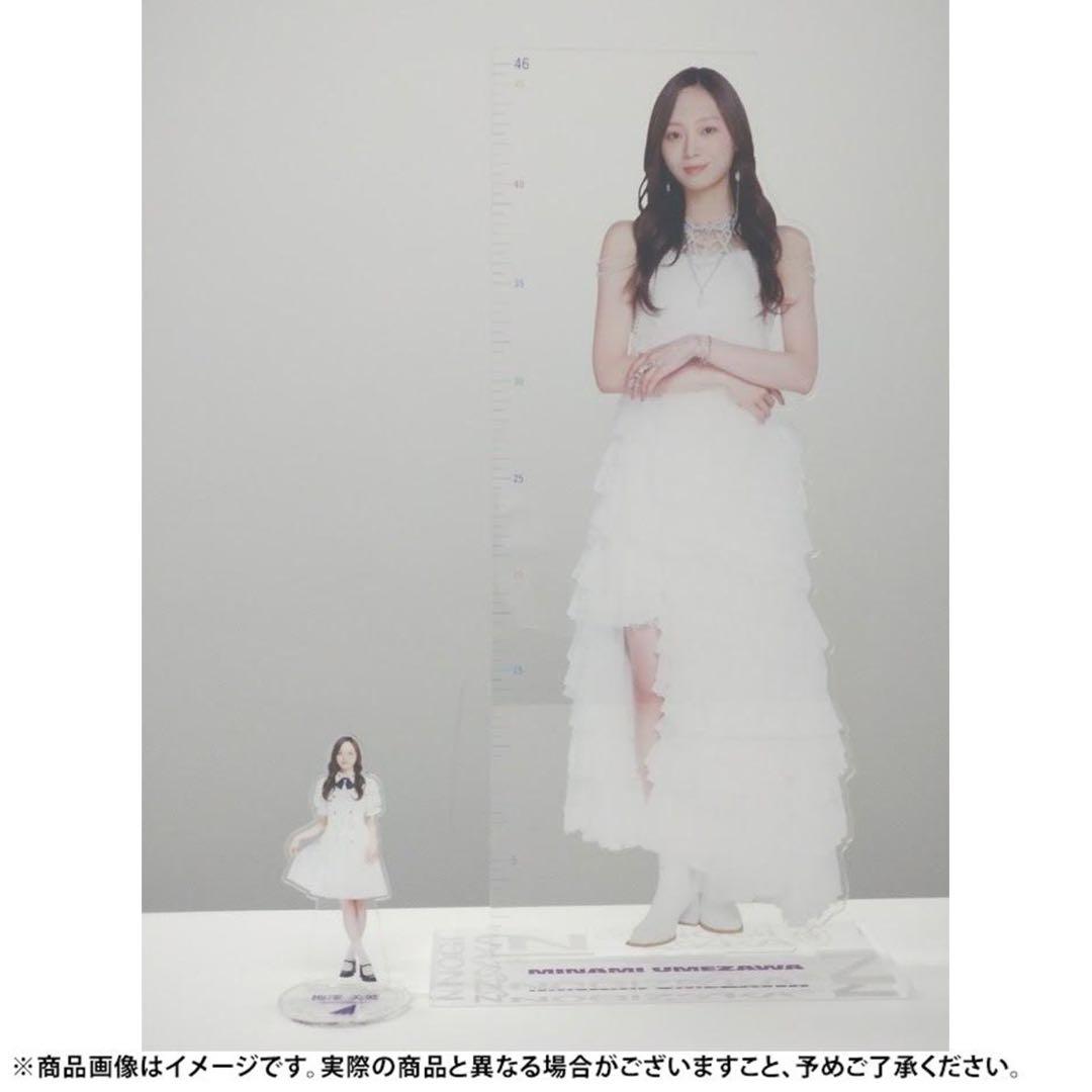 ＊乃木坂46 2026年福袋C 個別46cmアクリル定規スタンド 奥田いろは＊