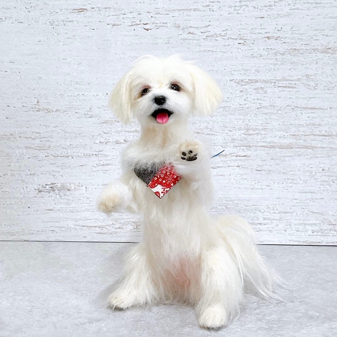 羊毛フェルト 犬 マルチーズ