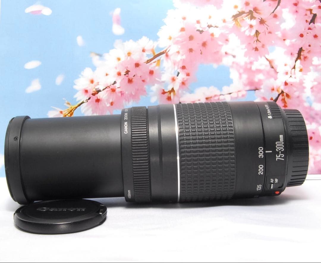 Canon ZOOM LENS EF 75-300mm f4-5.6 Ⅲ USM