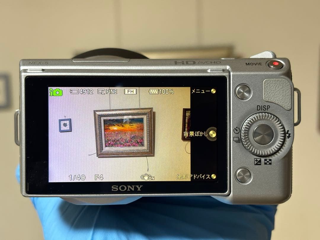 SONY FE 24-105mm F4 G OSS 動作確認済 外装やや傷汚れ有