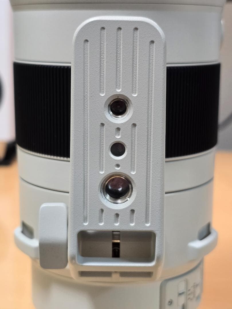 レンズ(ズーム) SONY SEL200600G OSS