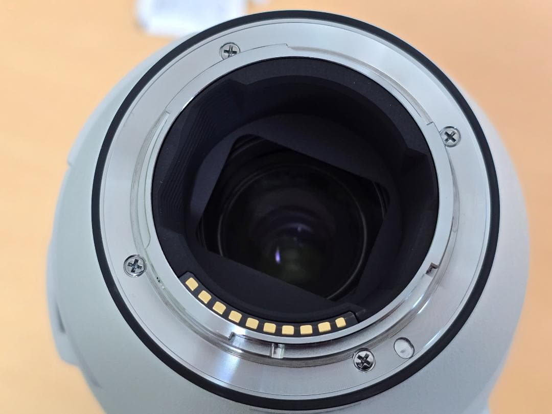 レンズ(ズーム) SONY SEL200600G OSS