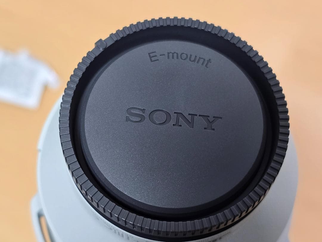 レンズ(ズーム) SONY SEL200600G OSS