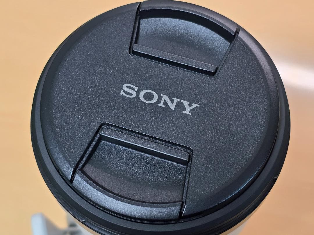 レンズ(ズーム) SONY SEL200600G OSS