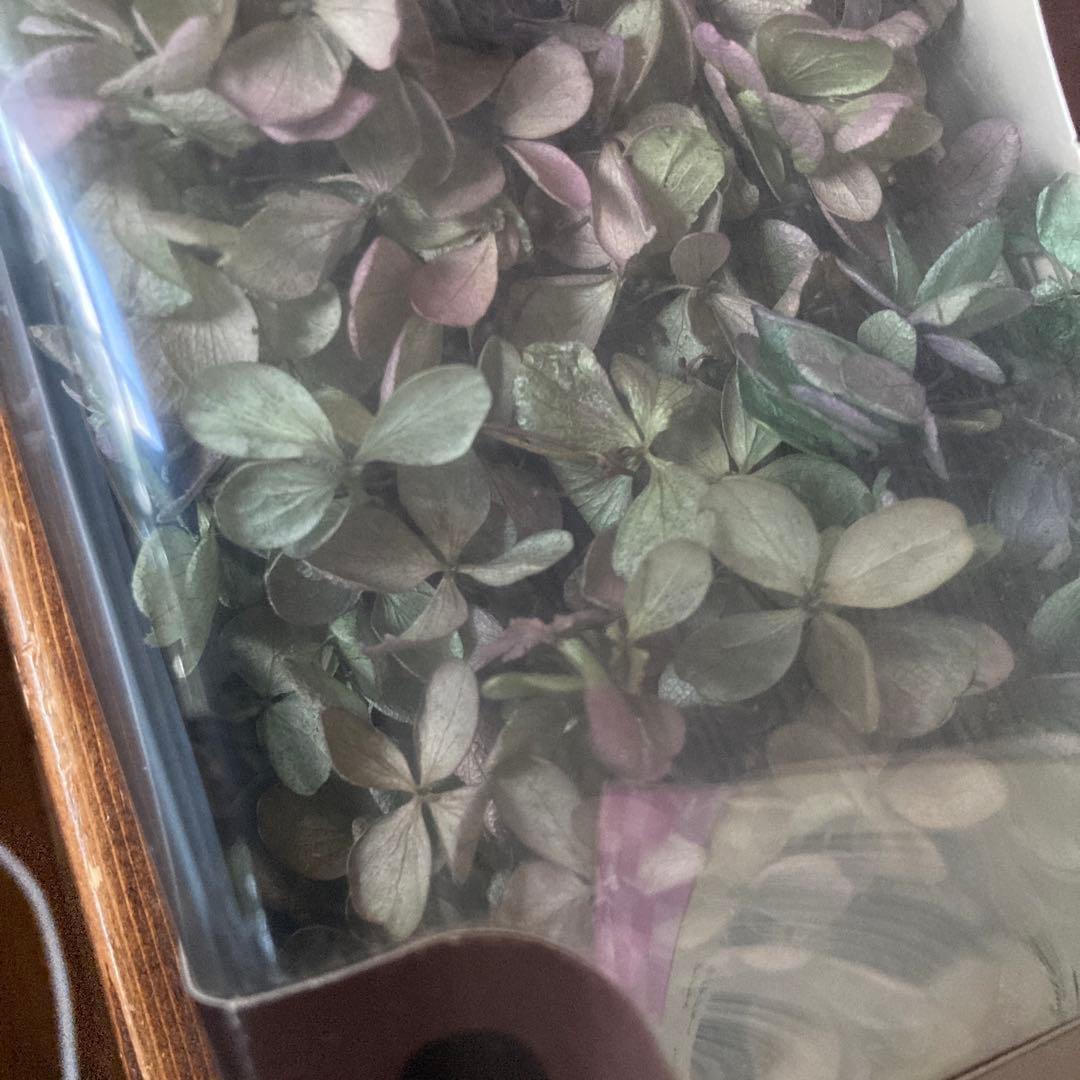 プリザーブドフラワー花材アジサイ 多色8セット　B