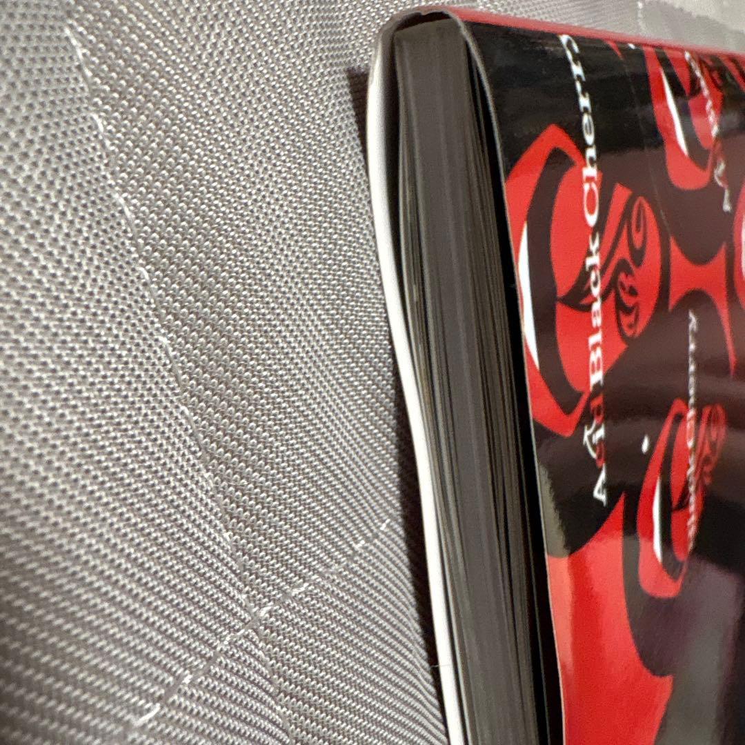 Acid Black Cherry 写真集　美品