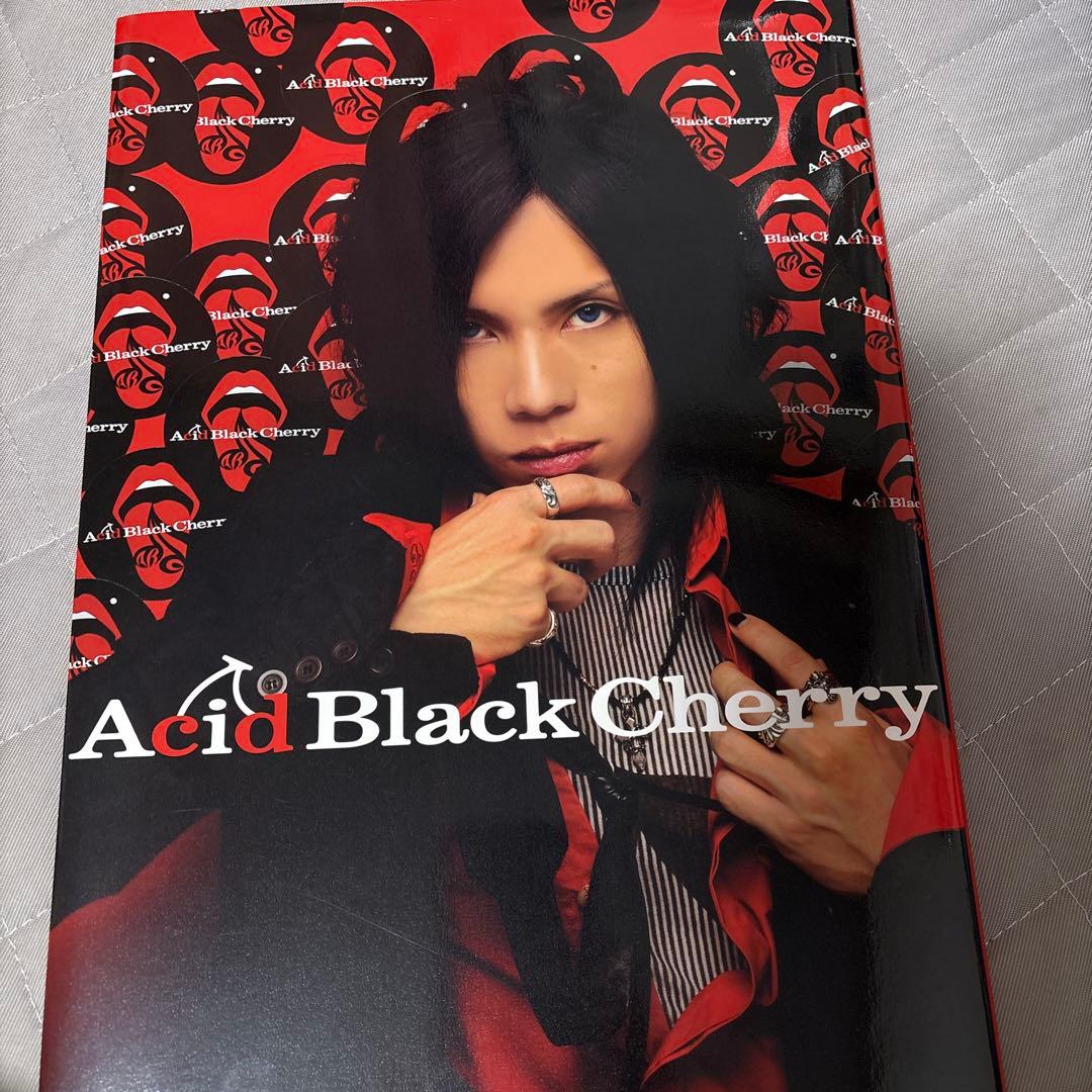 Acid Black Cherry 写真集　美品