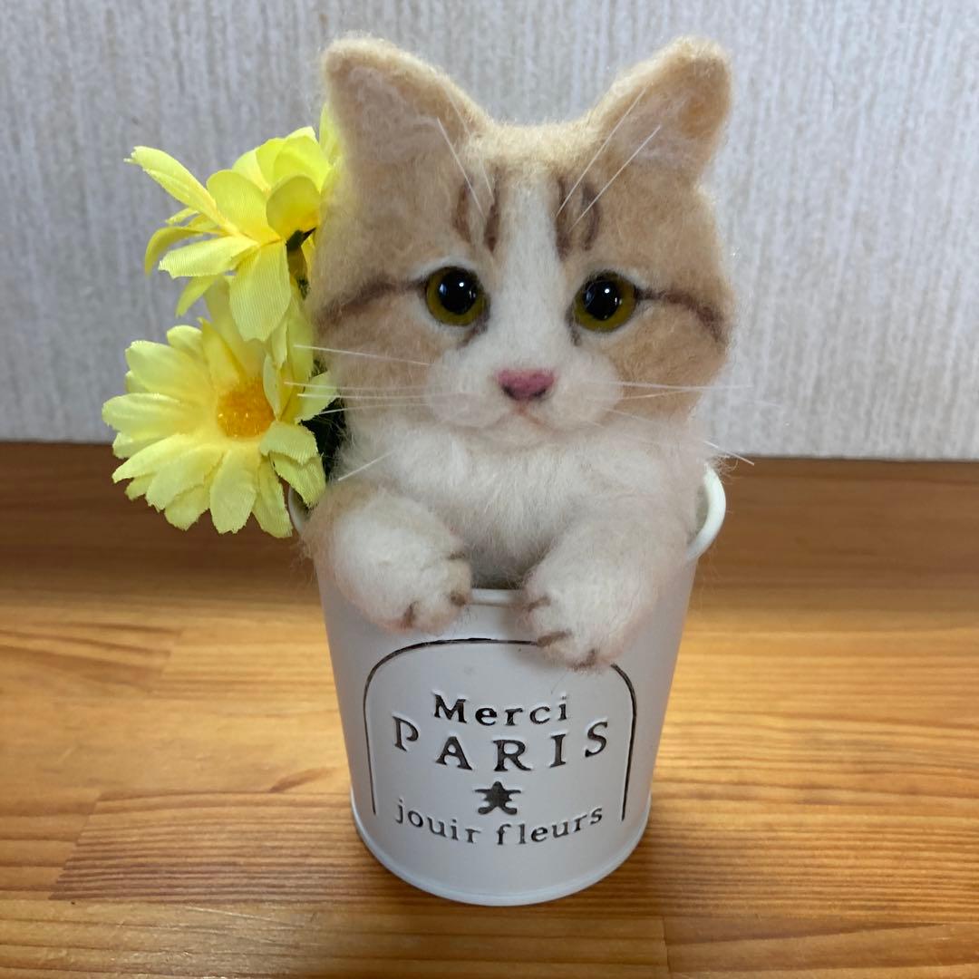 必読プロフィール ヤンミ