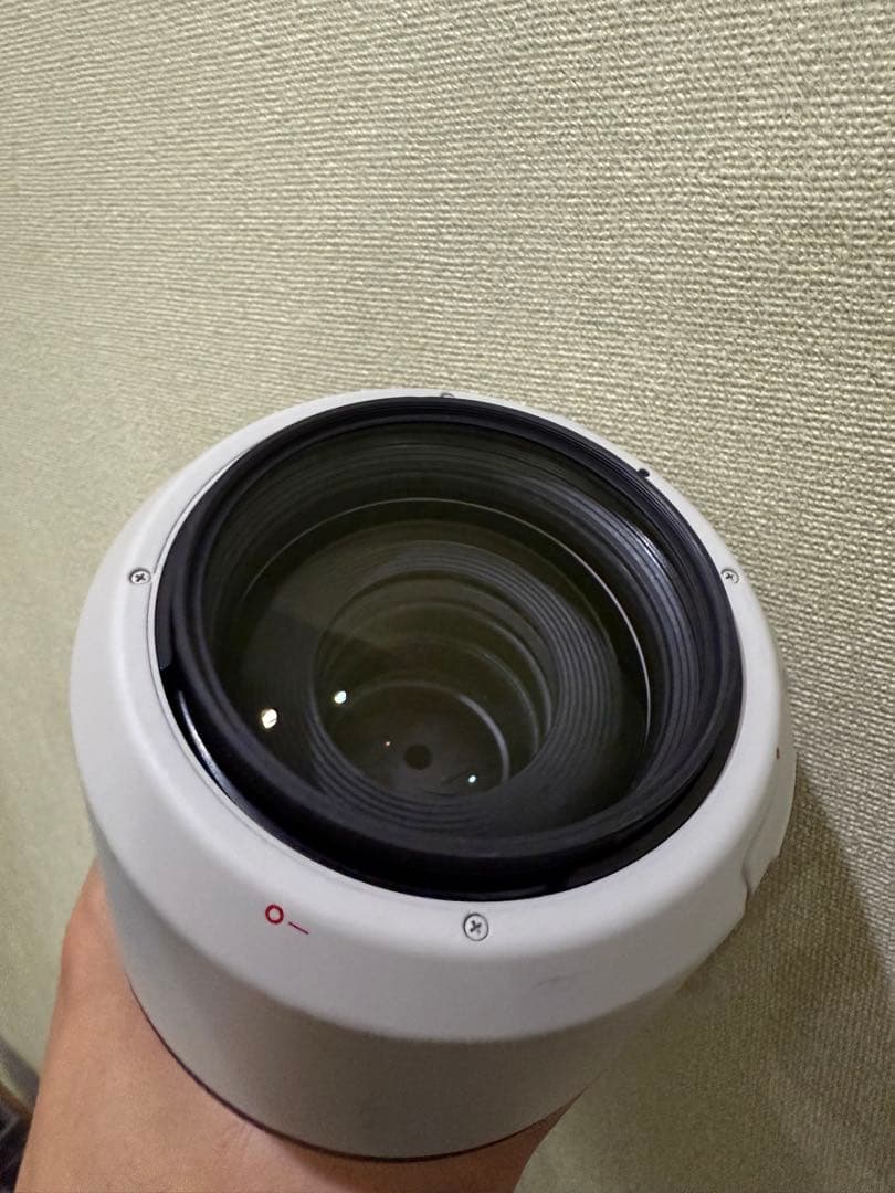 Canon RF 70-200mm F2.8 L IS USM 5年保証付き！