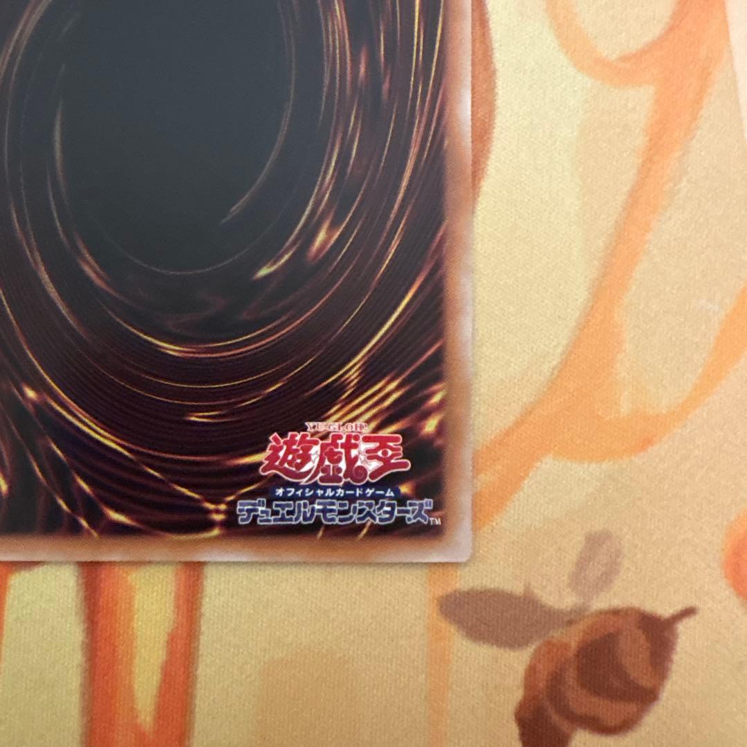 ブラックマジシャン　25th イラスト違い　絵違い