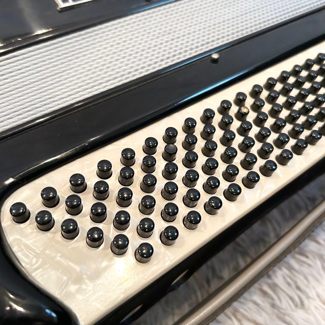 【極希少】 EXCELSIOR 302M アコーディオン ソフトケース付