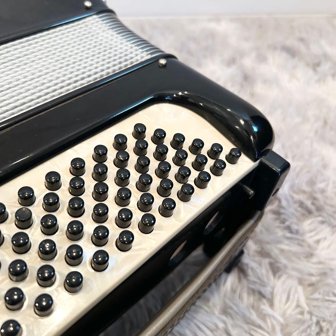 【極希少】 EXCELSIOR 302M アコーディオン ソフトケース付