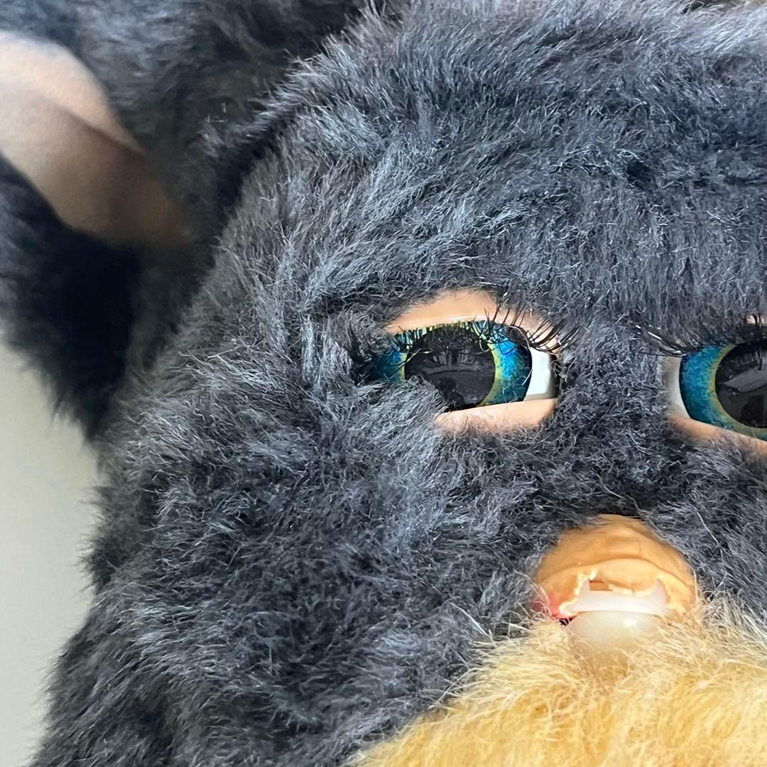 ファービー2　フェスタ　チャコールグレー　　青目　英語版　furby2 #2