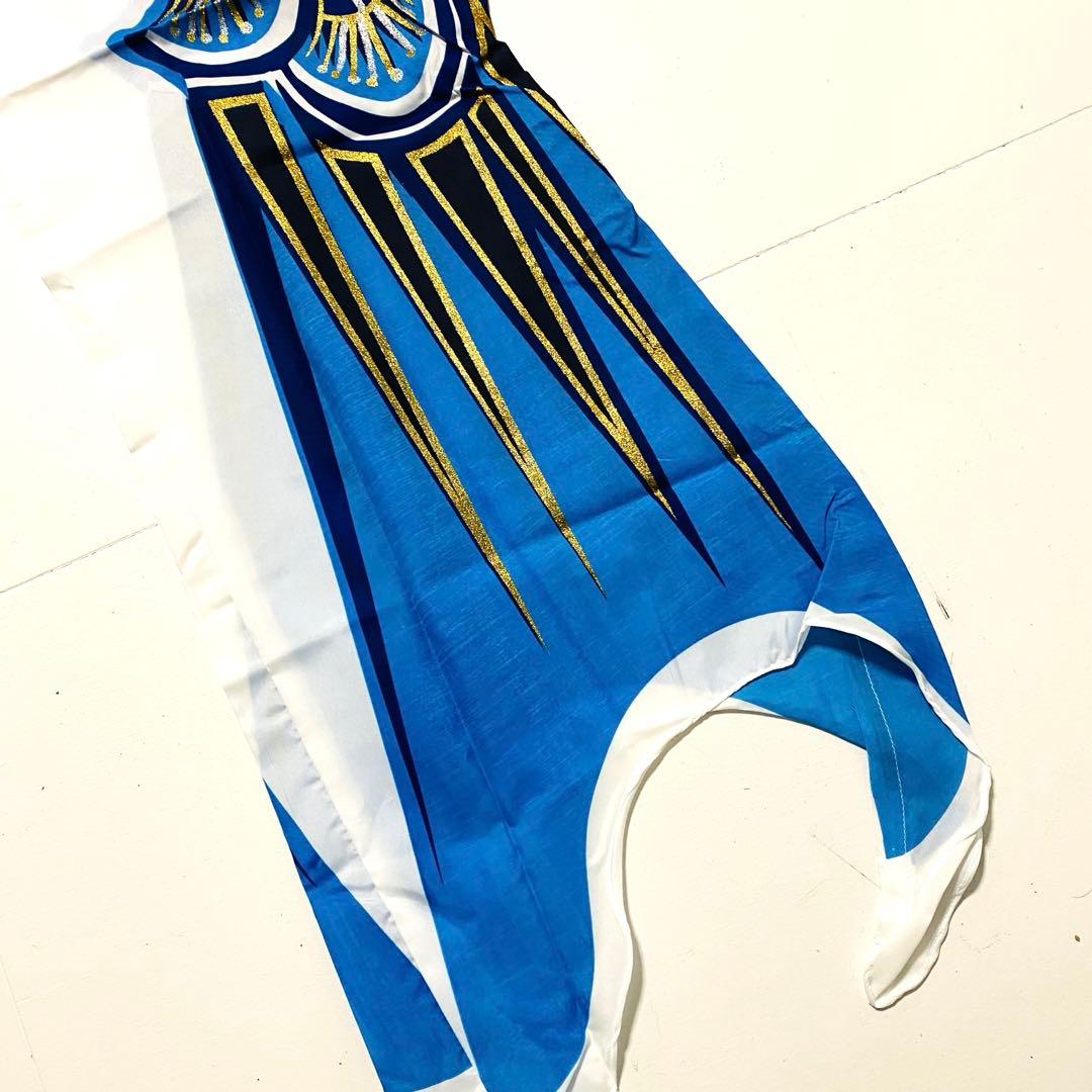 1点限定 金銀鯉 2m こいのぼり 五月 節句