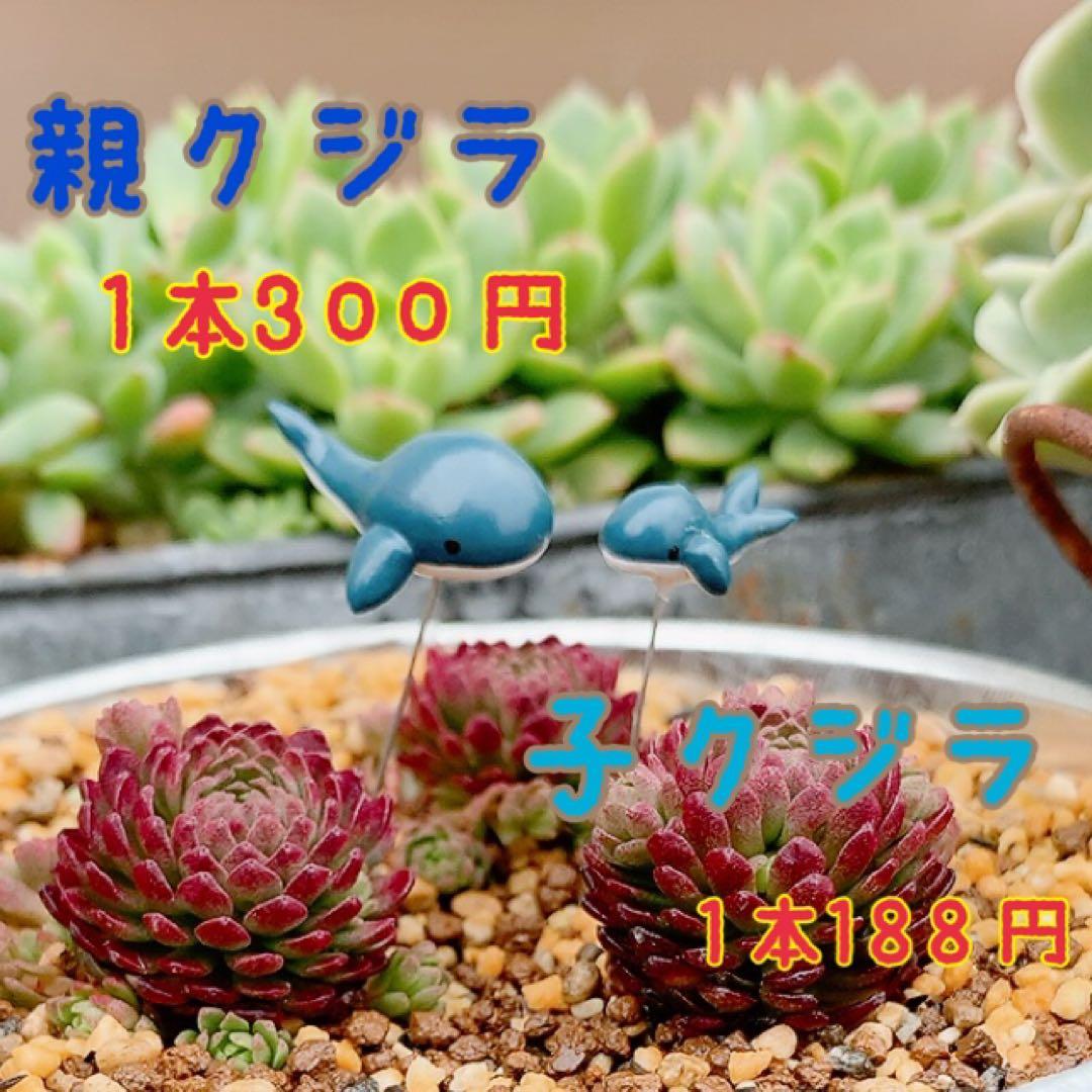 ガーデンピックオーダーページ