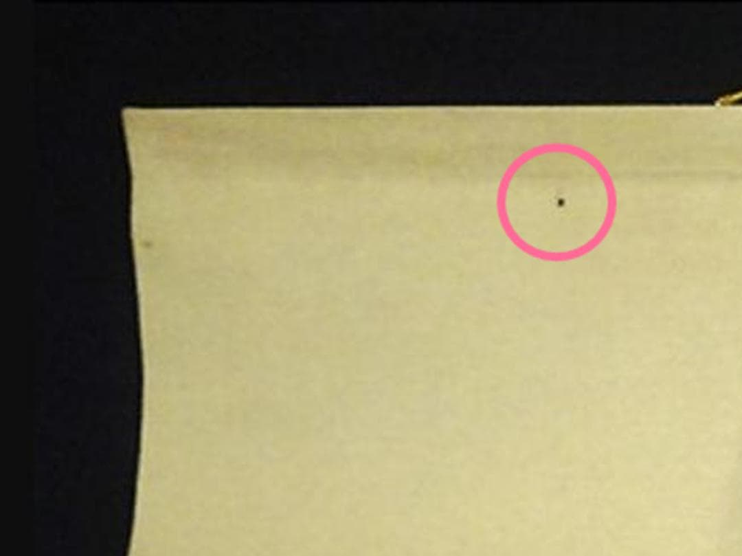 掛軸 義宗『五位鷺』日本画 紙本 肉筆 共箱付 掛け軸 a02121