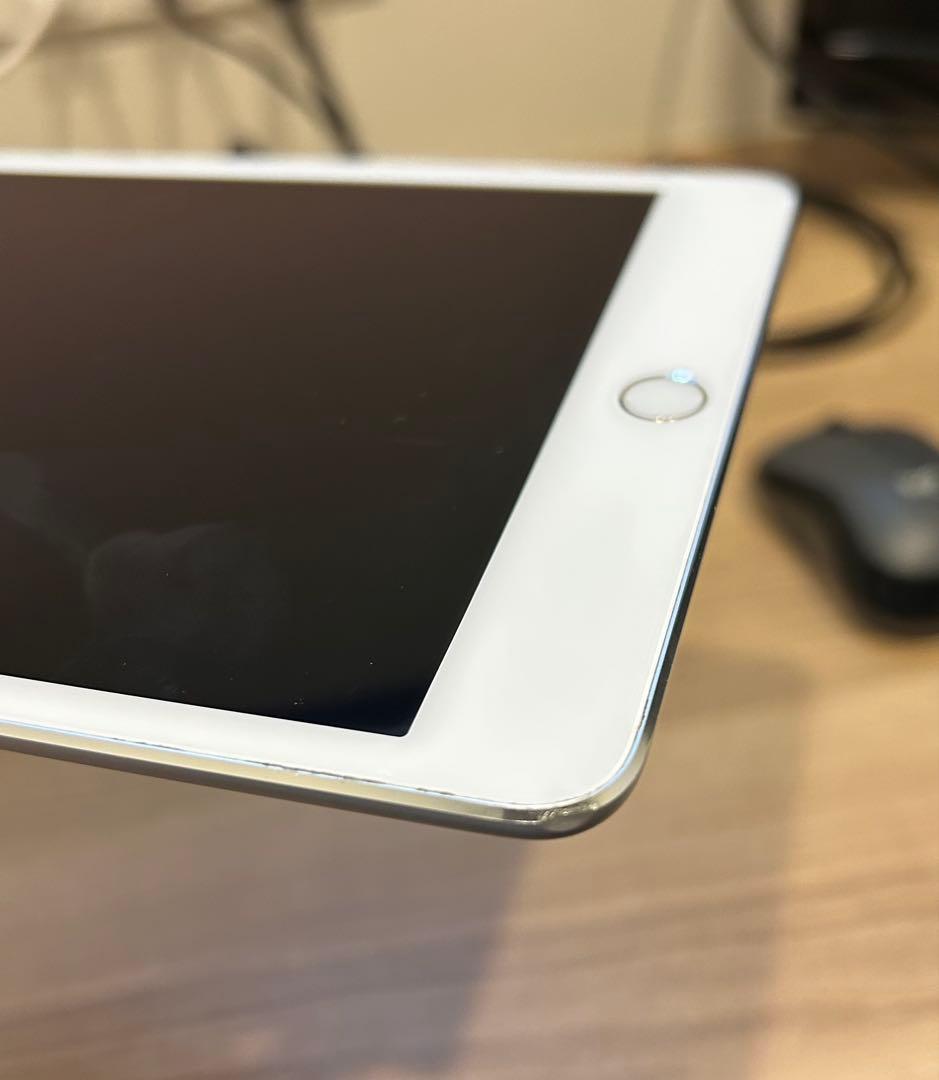 Apple iPad mini4 本体