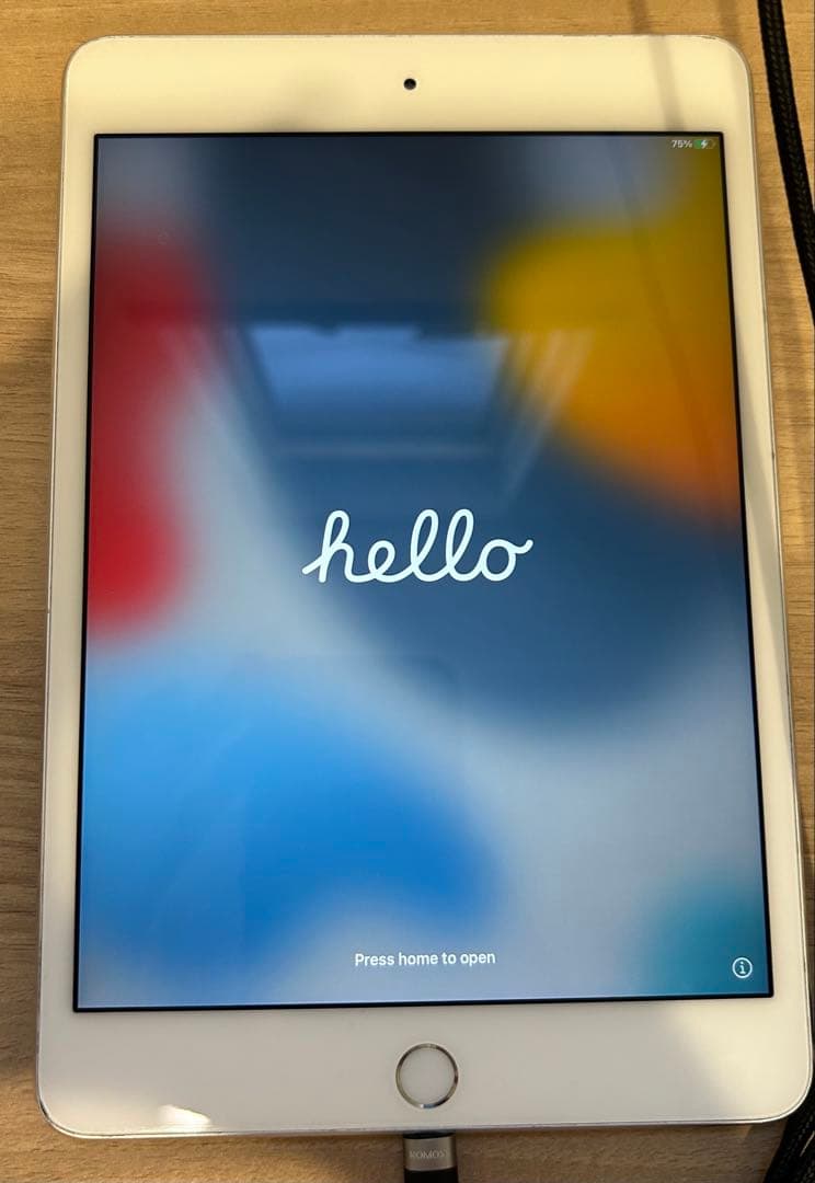 Apple iPad mini4 本体