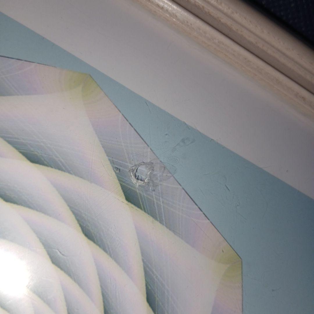 クスリ絵 フラワーシャーベット 額縁入りパネル