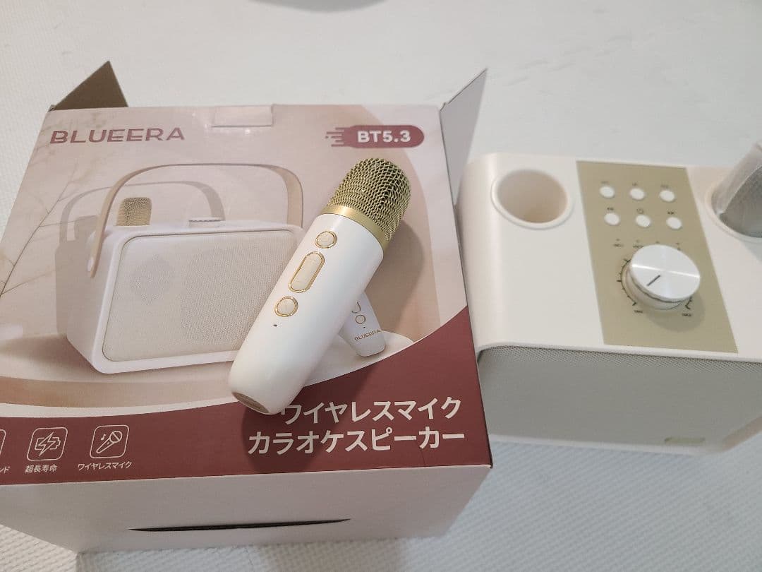 Blueera カラオケセット家庭用 BT マイク 2本 ワイヤレスカラオケ