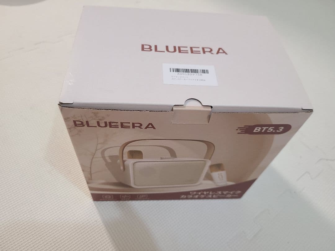 Blueera カラオケセット家庭用 BT マイク 2本 ワイヤレスカラオケ