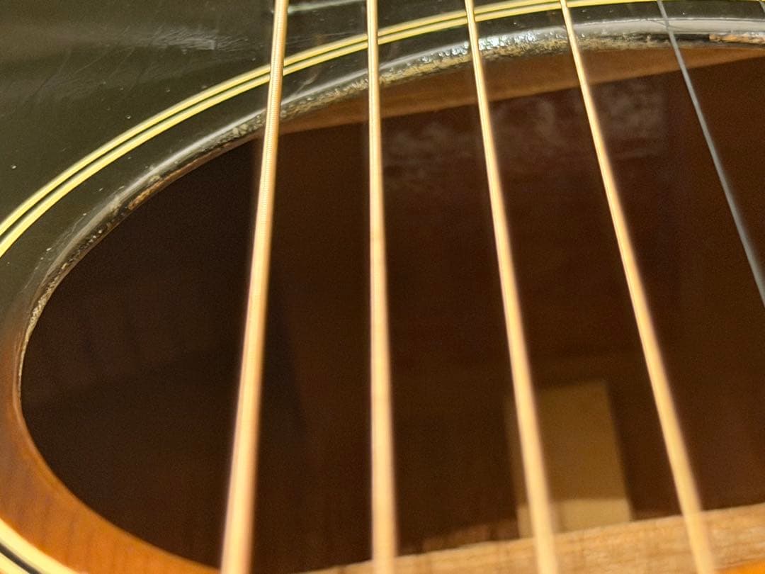Gibson Blues-king ハードケース 2011年