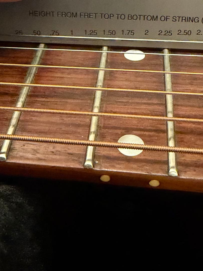 Gibson Blues-king ハードケース 2011年