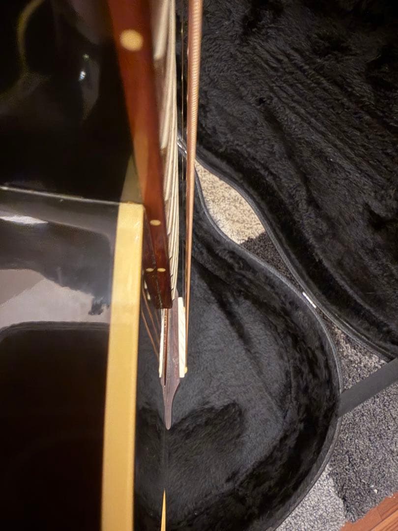 Gibson Blues-king ハードケース 2011年