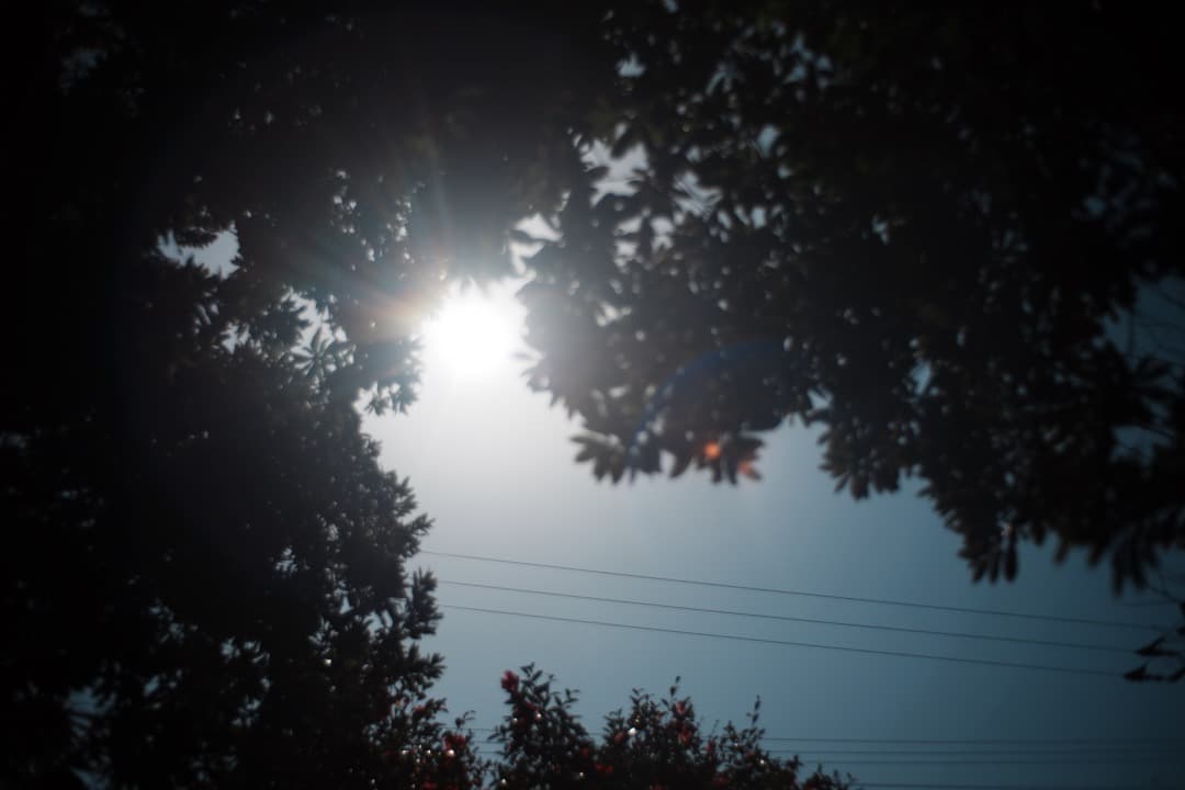 【極美品】ミノルタ MC W.ROKKOR-HG 35mm F2.8 687