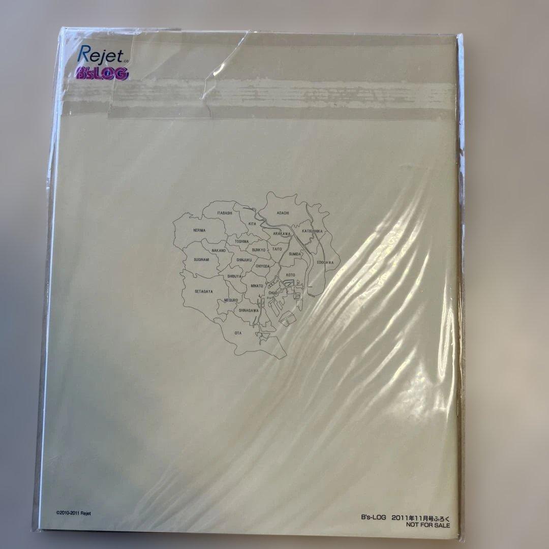 【美品】B's-LOG 付録　ハートの国のアリス・Starry⭐︎Sky など