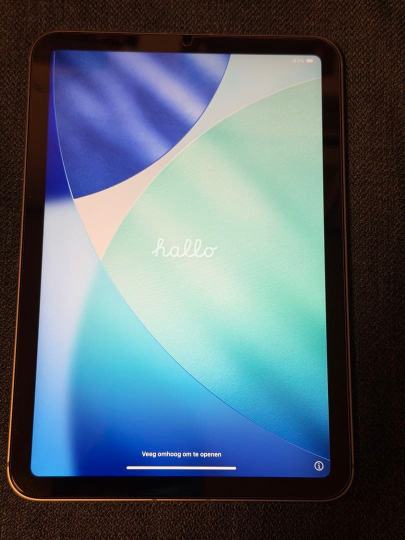 【美品】iPad mini (A17 Pro) Cellular 128GB