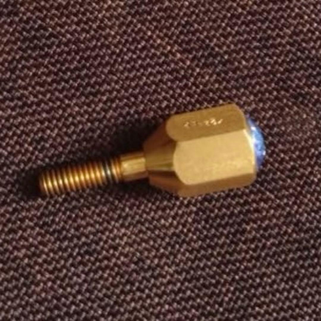 Earrs イヤーズ ネックジョイントスクリュー SUS304 GP 金メッキ