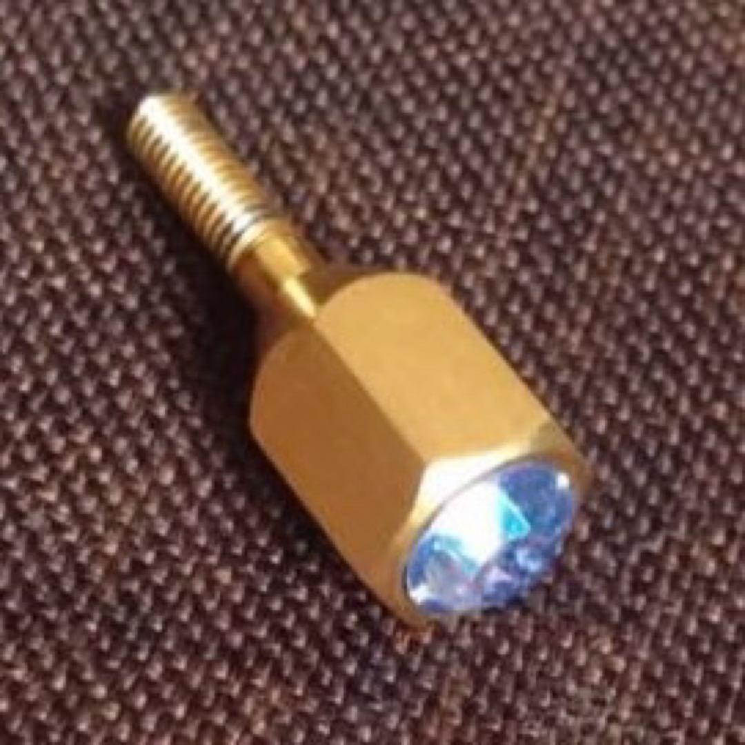 Earrs イヤーズ ネックジョイントスクリュー SUS304 GP 金メッキ