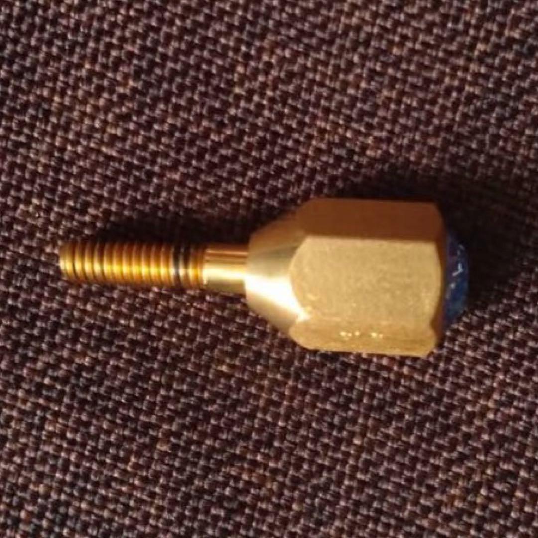 Earrs イヤーズ ネックジョイントスクリュー SUS304 GP 金メッキ