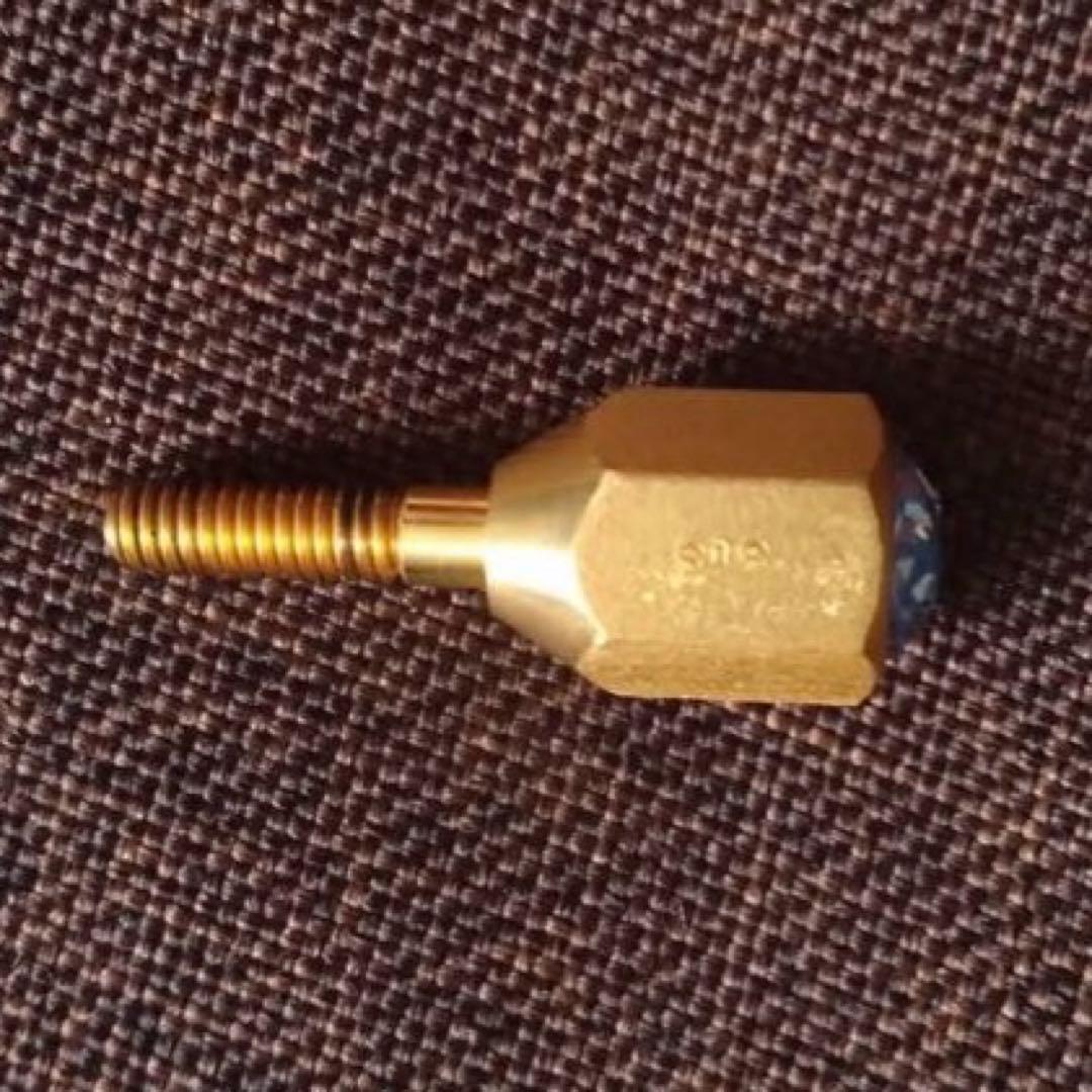 Earrs イヤーズ ネックジョイントスクリュー SUS304 GP 金メッキ