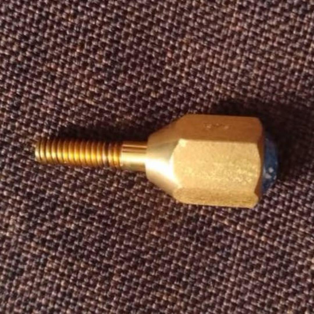 Earrs イヤーズ ネックジョイントスクリュー SUS304 GP 金メッキ