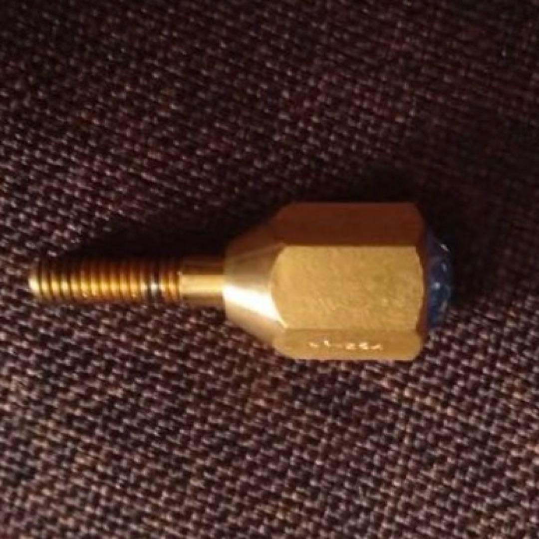 Earrs イヤーズ ネックジョイントスクリュー SUS304 GP 金メッキ